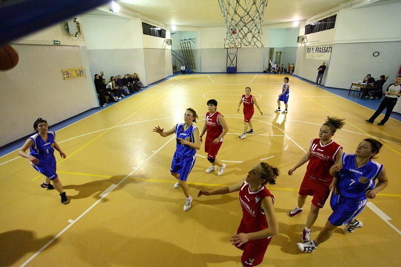 Basket 443115